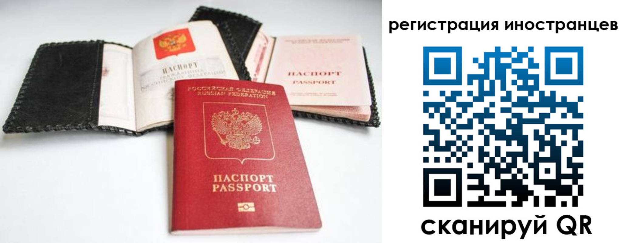 прописка гарантия в Саратовской области